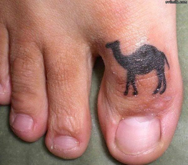 camel-toe.jpg