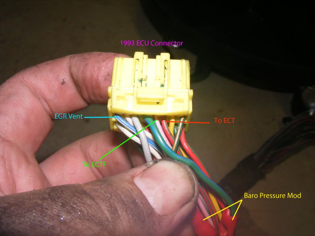 Mazda Ecu