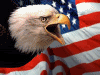 Bald Eagle On American Flag Pictures, Images and Photos