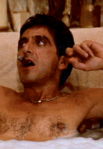 Gran Especial de los AVN, Los Oscar del Porno!! Gran Especial de los AVN, Los Oscar del Porno!!