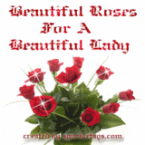 Roses Pictures, Images and Photos
