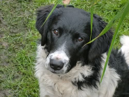 102011hond2-1.jpg