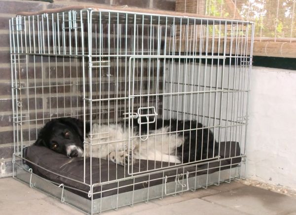 hond07131_zpsf4f87bb7.jpeg