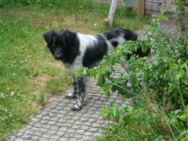 hond07132_zps1b283874.jpeg