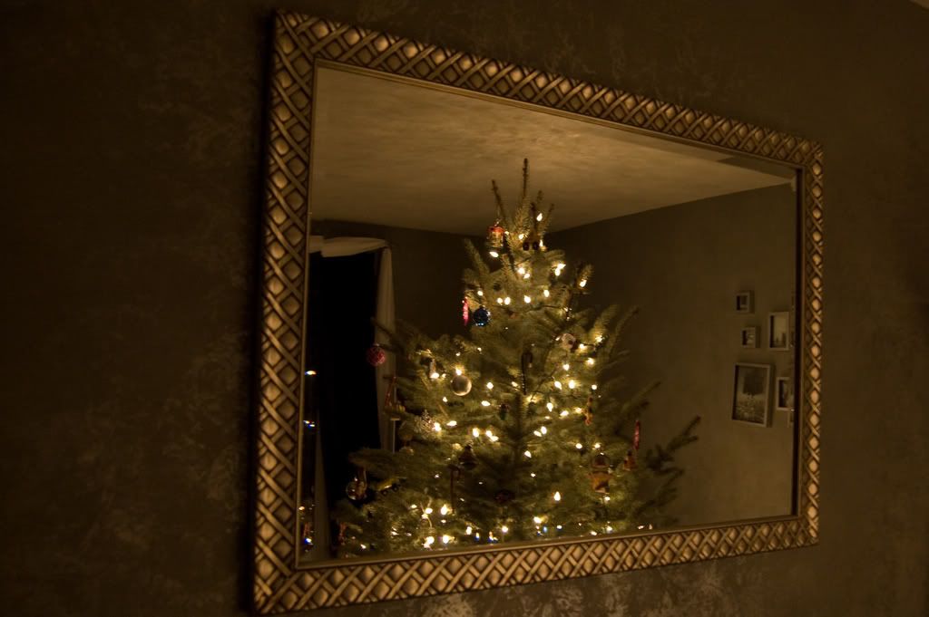 IMAGE: http://i285.photobucket.com/albums/ll44/mtrombl5/tree1of1.jpg