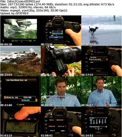 Introduction to the Canon 5D Mark II ; vol. 1: Basic Controls Training Introduction to the Canon 5D Mark II ; vol. 1: Basic Controls Training
