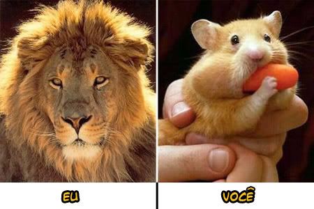 Eu x Você