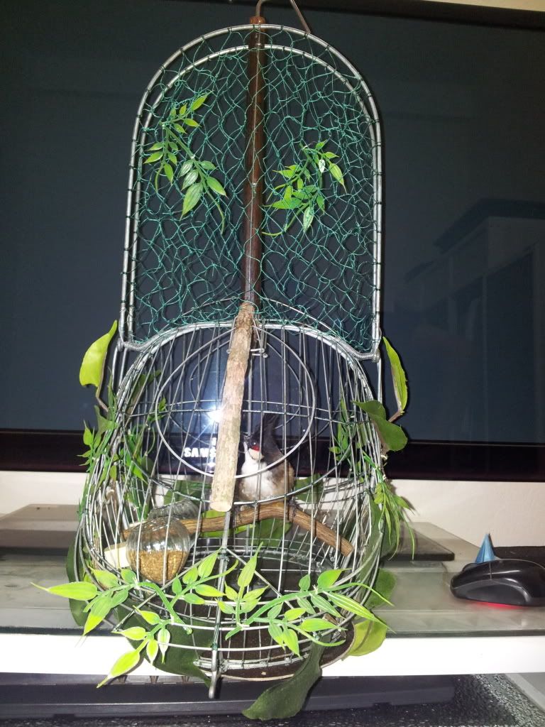 20120921_195723_zps7558c99d.jpg