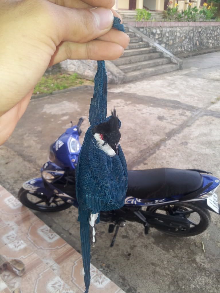 20120924_123613.jpg