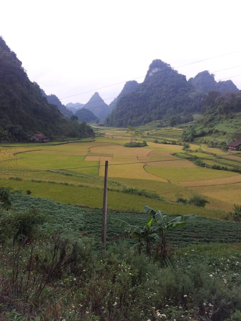 20120924_151440.jpg