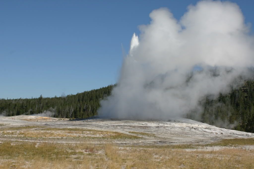 IMG_8359.jpg