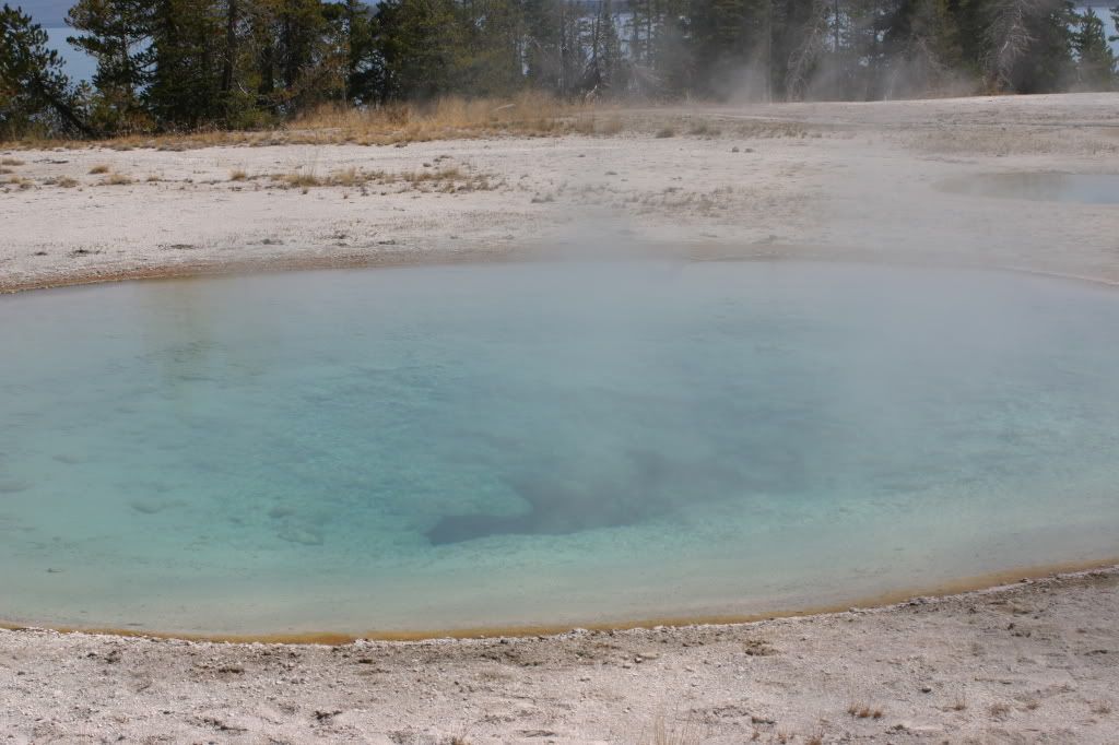 IMG_8390.jpg
