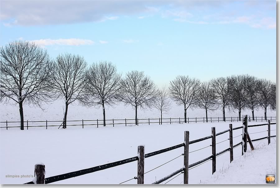 Winter Landscapes photo: Winter landschap sized_IMG_6073.jpg