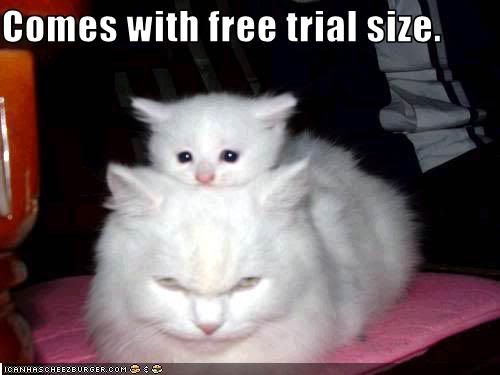 funny-pictures-cat-comes-with-trial.jpg