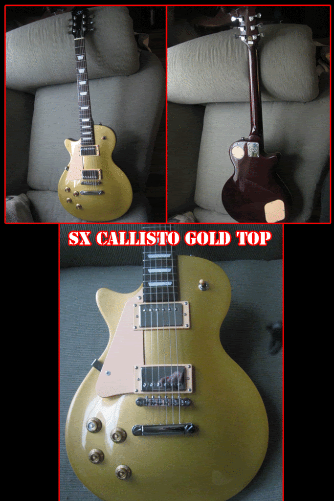 http://i285.photobucket.com/albums/ll46/pigwing76/SX-CALLISTO.gif