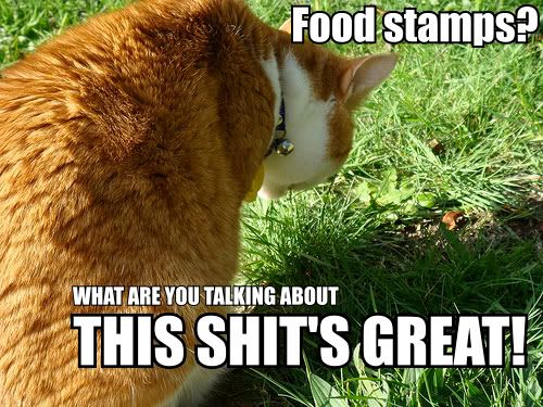 http://i285.photobucket.com/albums/ll47/Ngati_Grim/food_stamps_what_are_you_talking_about_this_shit_is_great_trollcat.jpg
