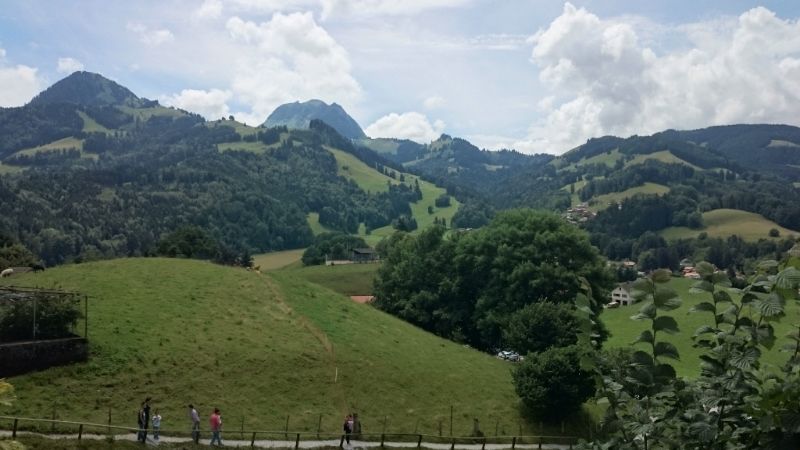Grindelwald, Jungfrau, Thun, Gruyeres - Suiza: 10 días con niña pequeña, en coche. (6)