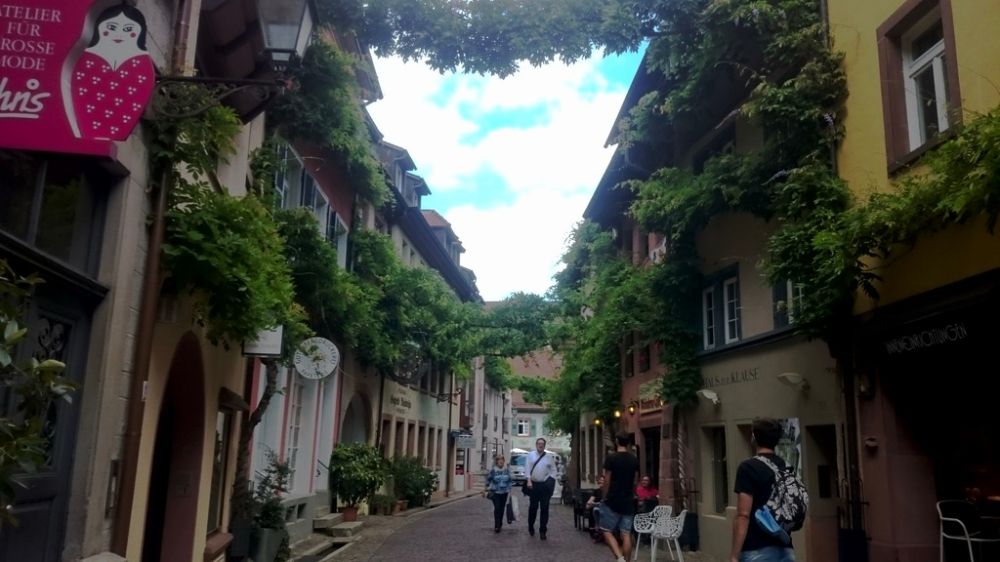 Friburgo - De Colonia a Selva Negra (por Luxemburgo y Alsacia) (6)