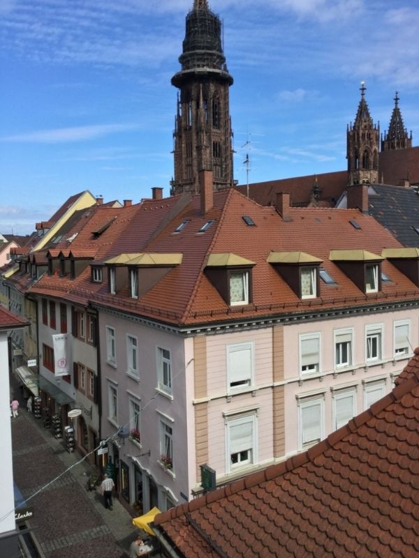 Friburgo - De Colonia a Selva Negra (por Luxemburgo y Alsacia) (1)