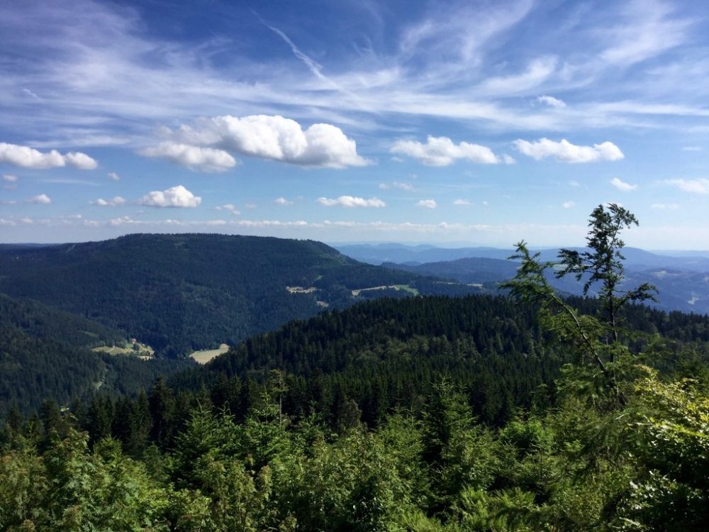 Freudenstadt, Lago Mummelsee y Baden Baden - De Colonia a Selva Negra (por Luxemburgo y Alsacia) (4)
