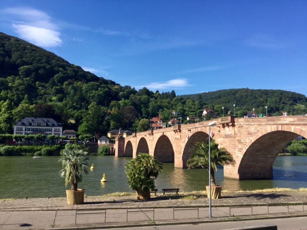 Heidelberg y Frankfurt - De Colonia a Selva Negra (por Luxemburgo y Alsacia) (4)