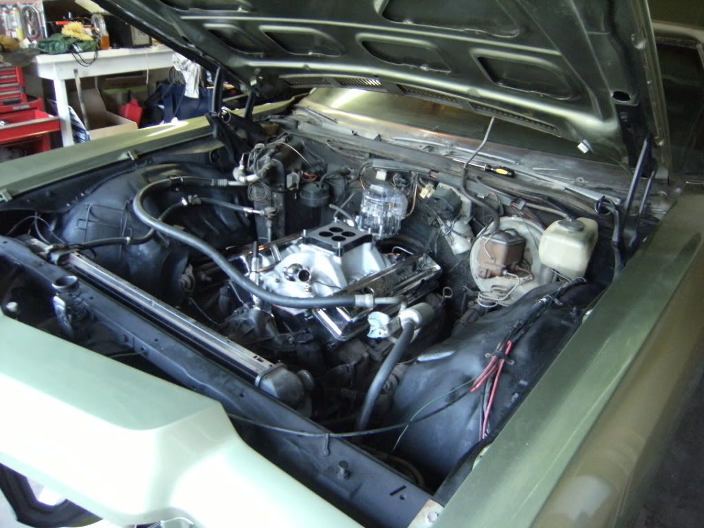 Posted Image