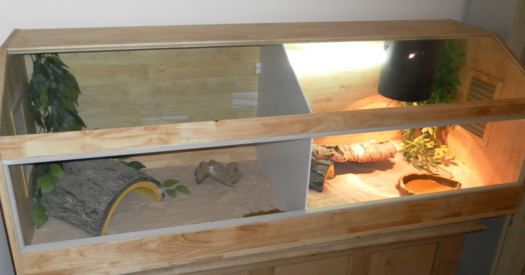 New GEKOZONE Vivarium Divider Your Comments Appreciated! Reptile Forums