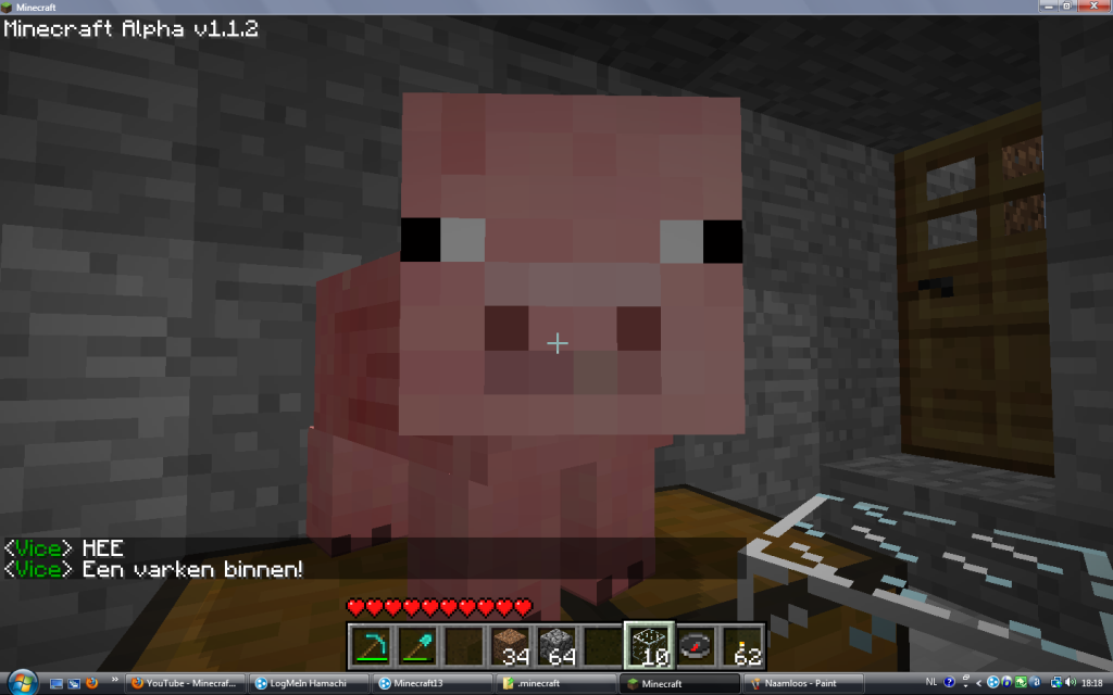 Minecraftvarkentje.png