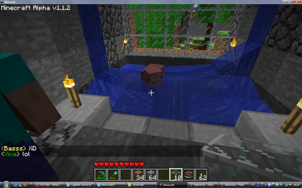 Minecraftvarkentjezwemt.png