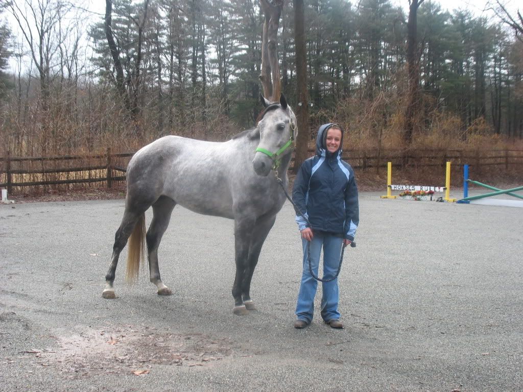 Silver dappled grey gelding names?