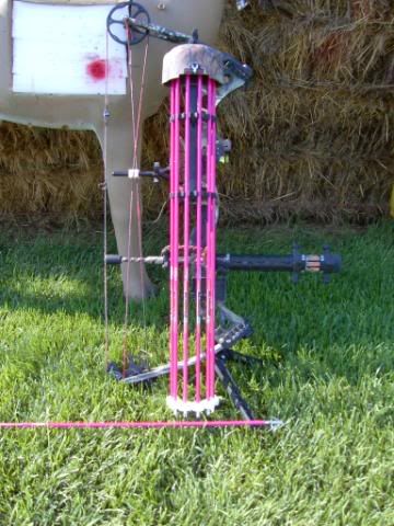 Pink Broadheads