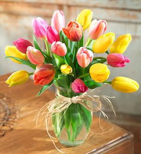 M_Us_tulipanes.jpg tulipanes image by erickvanseeller