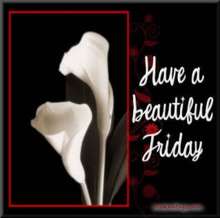 Friday Pictures, Images and Photos