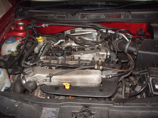 S1051139.jpg
