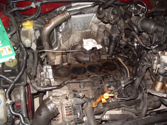 S1051141.jpg