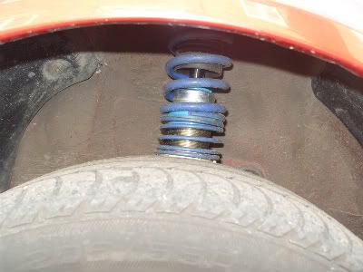 S1051183.jpg