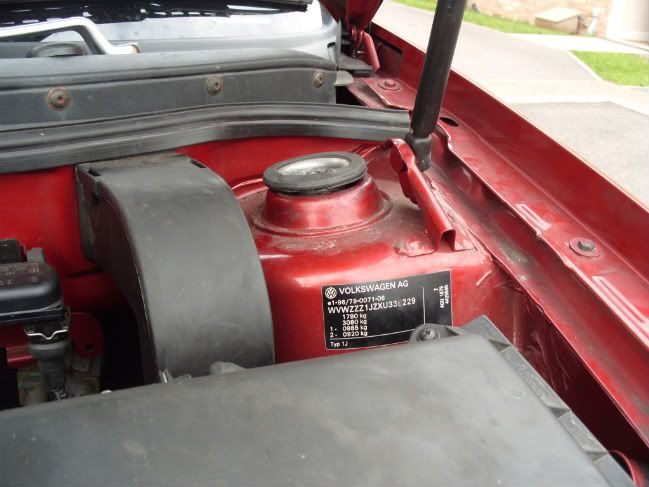S1051264.jpg