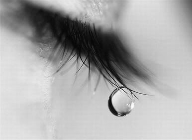 tear.jpg picture by hoa_co_may_photo