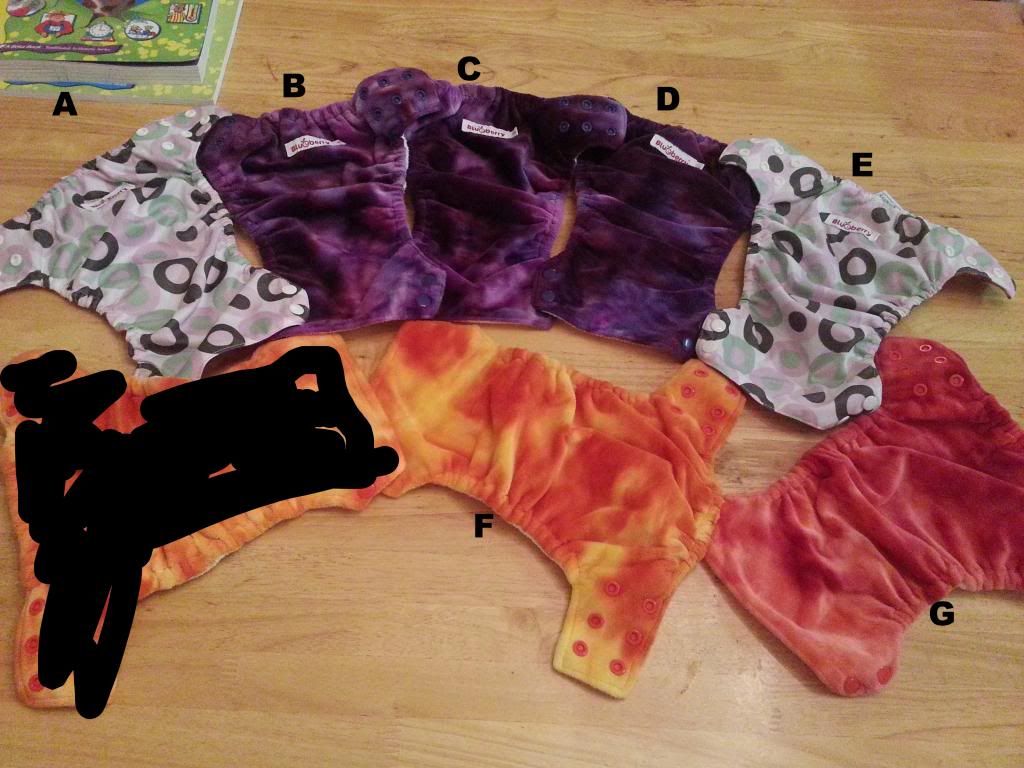 Blueberry Side Snapping size small F Blueberry Side Snapping size small F