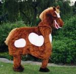 A Pantomime Horse Pictures, Images and Photos