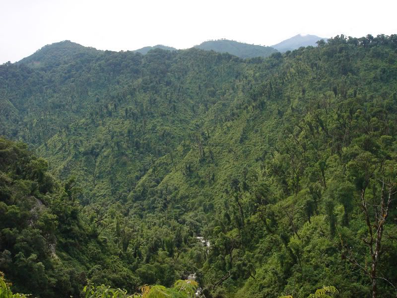 Salta Salta