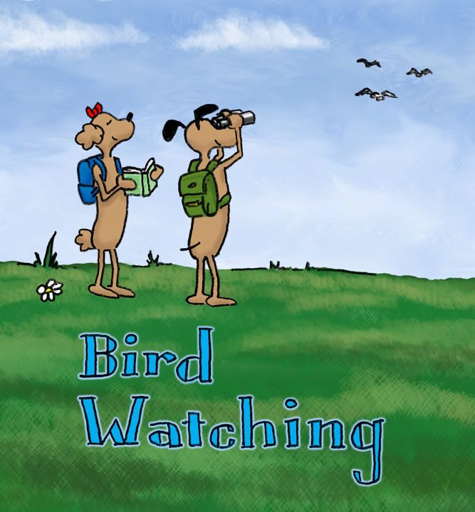 bird watching Pictures, Images and Photos