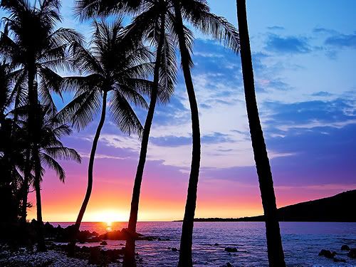 hawaiian sunset Pictures, Images and Photos