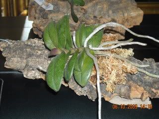 DSCN0025.jpg