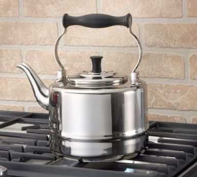 Product Review Paula Deen 2 Qt. Tea Kettle in Polished Stainless Steel Suzie The Foodie