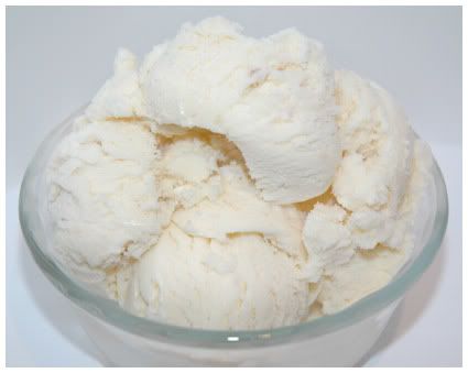 Plain Old Vanilla Ice Cream