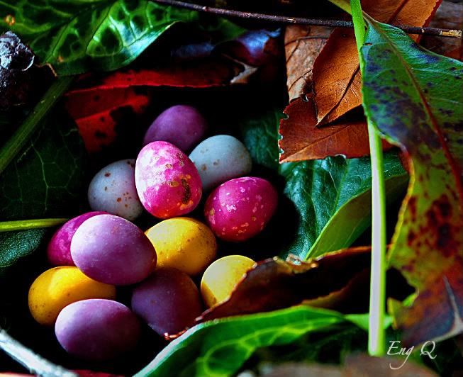 chocolates,eggs,still life photography