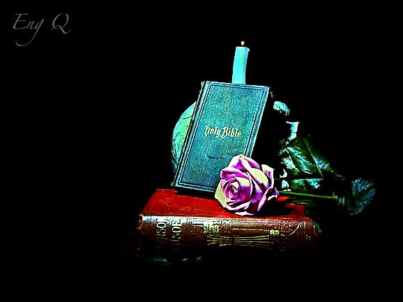 bible,the good book,skull,rose,still life