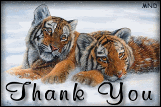 Thank you tigers