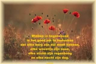 gedicht klaproos